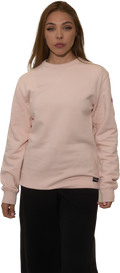 PINK WINGS -50% DTO.