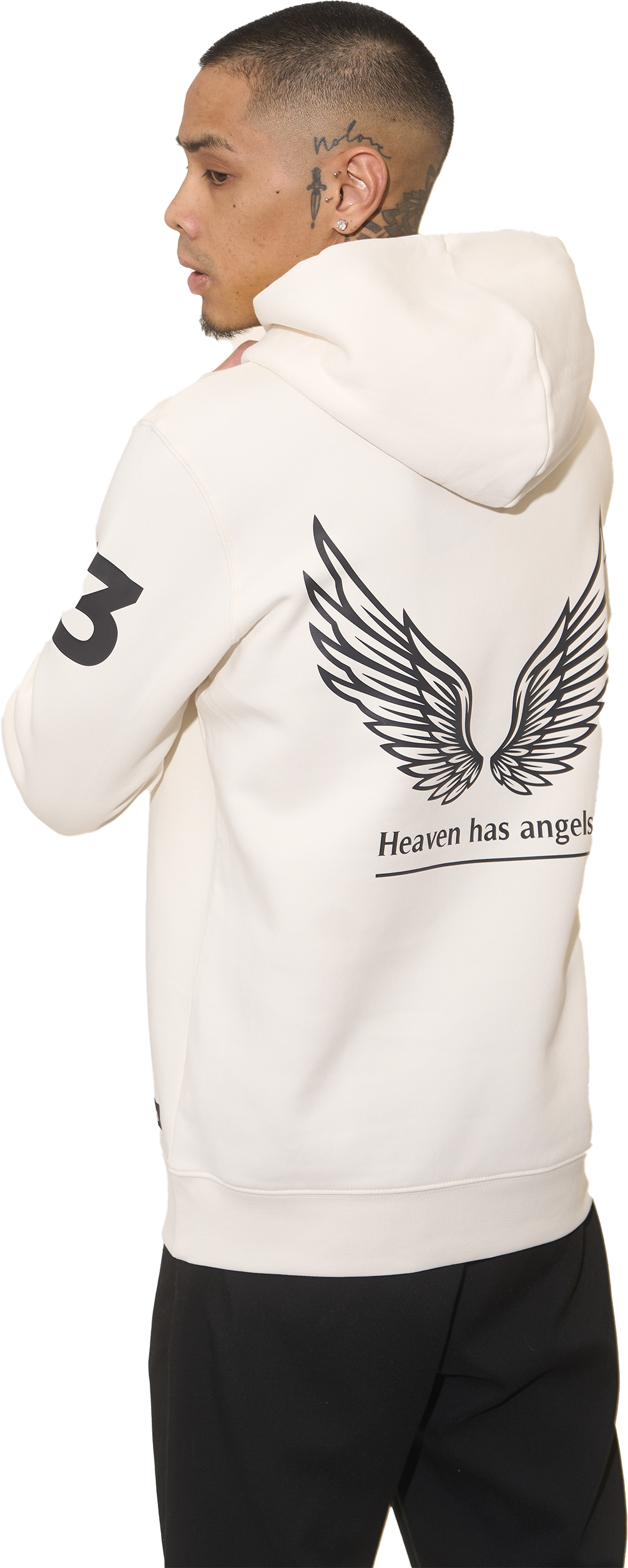 GOLDEN WINGS
