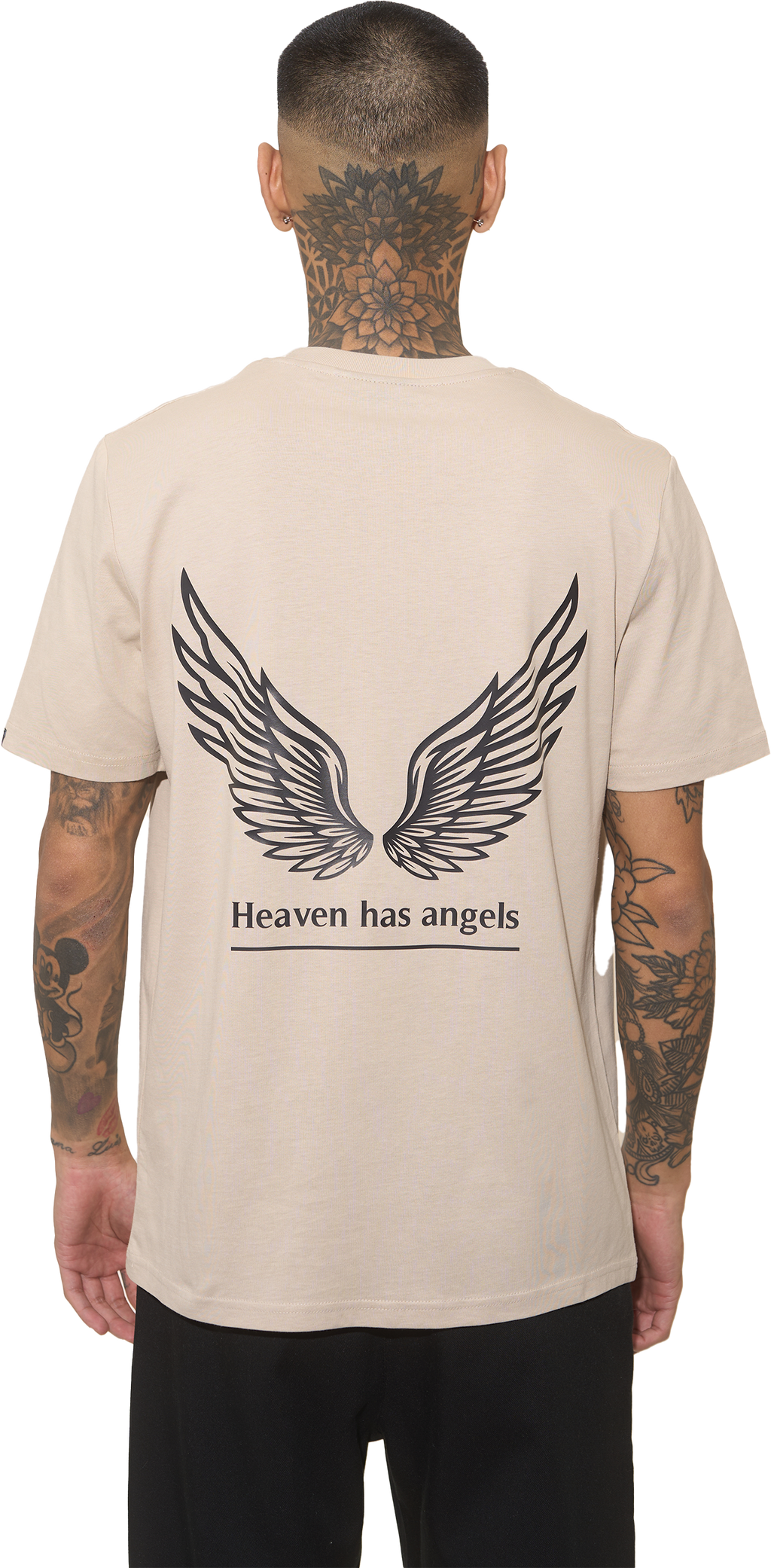 WINGS IN THE DESERT