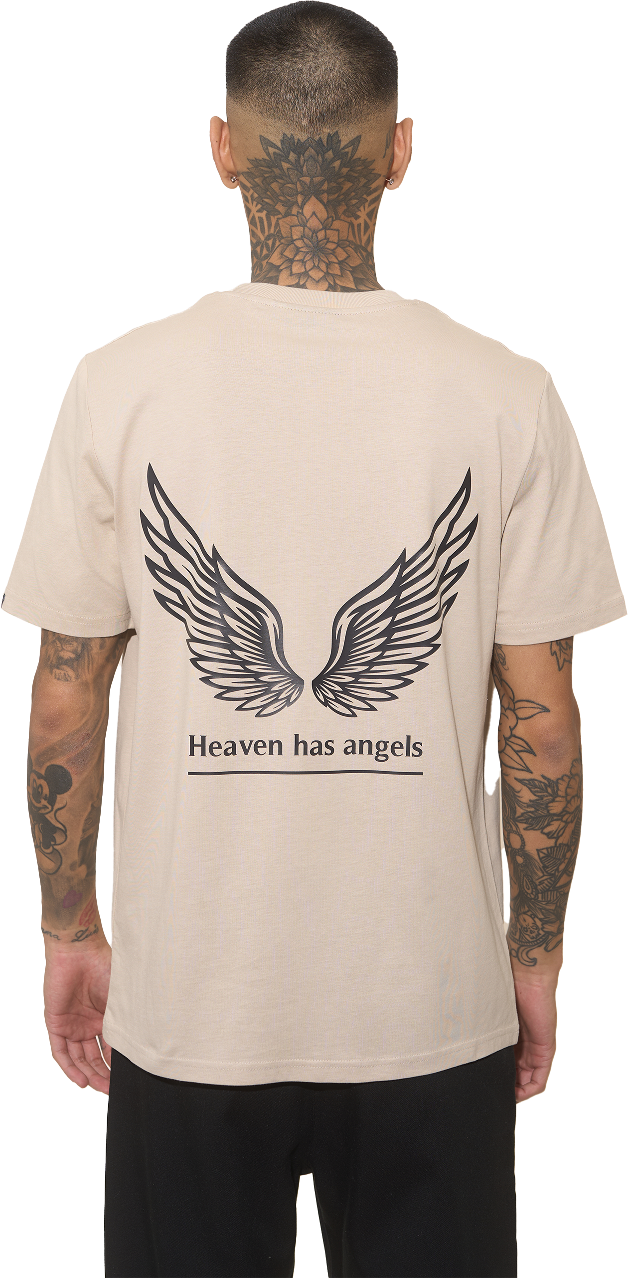 WINGS IN THE DESERT