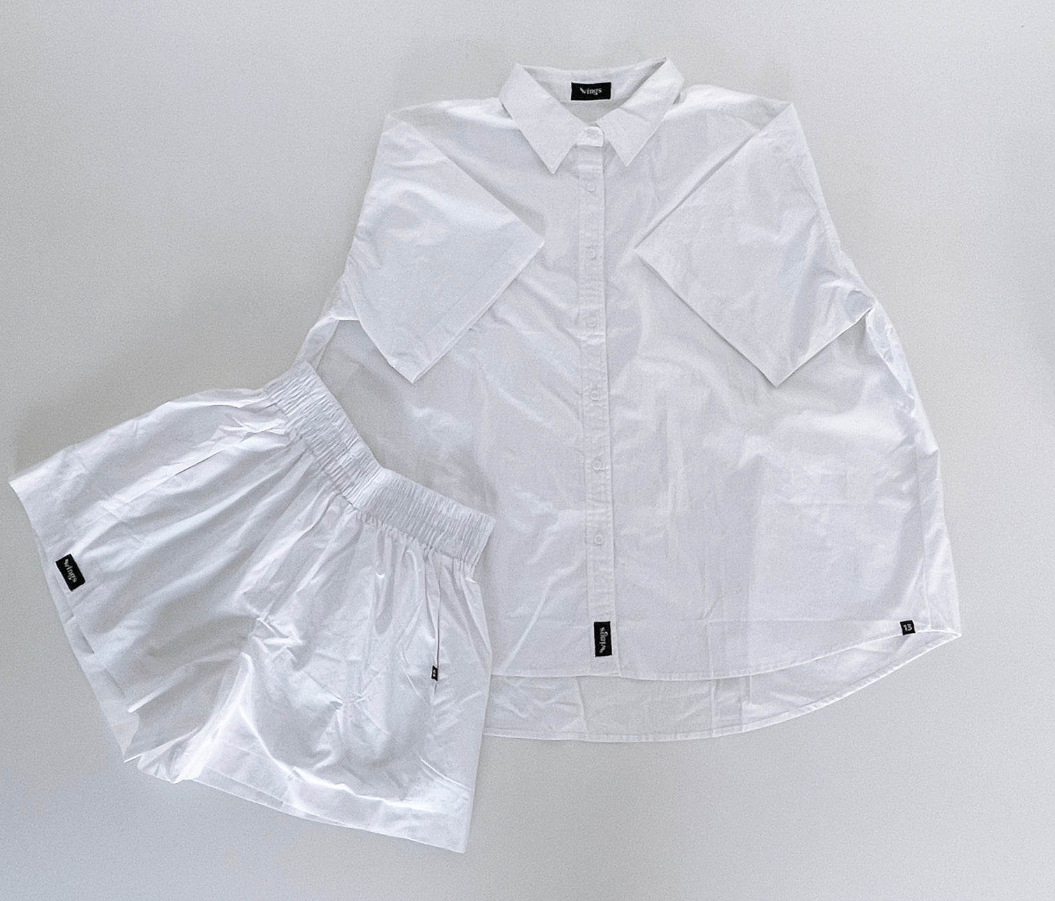 SHIRT WINGS